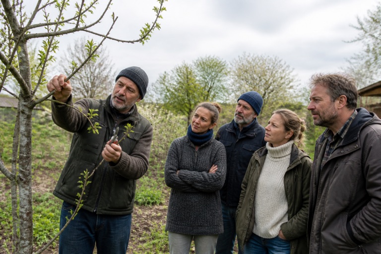 Gartenkurs im Freien, Teilnehmende beim Baumschnitt